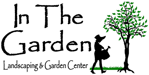 In The Garden
